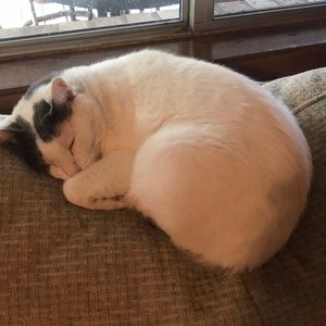 Meet your Posher, Bobby